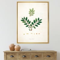 Дизајнрт „Антички растителен живот XIV“ Фарма куќа врамена платно wallидна уметност печатење