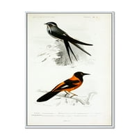 DesignArt 'Античка птица II' Традиционална врамена платно wallидна уметност печатење