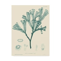Трговска марка ликовна уметност „Природа за печатење во аква IV“ платно уметност од визија студио