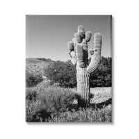 Интри за таблети, густо пустински какмент, црно бело фотографирање кањон пејзаж, 20, дизајн од Бил Карсон Фотографија