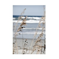 Сина паломино „плажа трева“ платно уметност