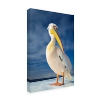 Але Царфин „Срамежливо пеликан“ уметност