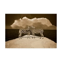 Трговска марка ликовна уметност „Две зебри пристаниште Остин Ми“ платно уметност од Монте Наглер
