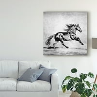 Трговска марка ликовна уметност „Црно -бели коњи II“ платно уметност од Фбурчет