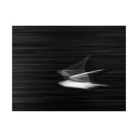 Ивано Чели „мува платно“ уметност