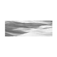 Jamesејмс Меклафлин 'црно -бела вода панел x' платно уметност