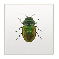 Stuple Industries Beetle зелена жолто животно фотографија графичка уметност нерасположена уметничка печатена wallидна уметност,