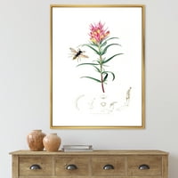 Дизајн на „Антички инсекти и растенија I“ Фарма куќа врамена платно wallидна уметност печатење