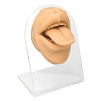 Модел на јазик, модел на уста на јазик мек со акрилна заграда за вежбање боја на кожа