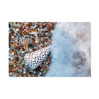 Денис Фрејтс „Богатства на плажа 2“ платно уметност