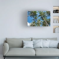 Ричард Сребрена „Палаван палми II“ платно уметност